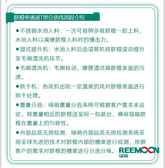 今年綠萌推出T型系列設(shè)備，專為中國果農(nóng)研制的高性價(jià)比的設(shè)備，具有功能齊全、小型輕便可移動(dòng)、操作簡單、易維護(hù)的優(yōu)點(diǎn)。臍橙單通道分選線確保每箱分選過的臍橙個(gè)頭勻稱、糖酸度相近，有著穩(wěn)定的品質(zhì)，讓非標(biāo)準(zhǔn)的農(nóng)產(chǎn)品標(biāo)準(zhǔn)化。該分選線專門為中國小戶果農(nóng)定制，為客戶實(shí)地考察，根據(jù)客戶需求全流程設(shè)計(jì)，