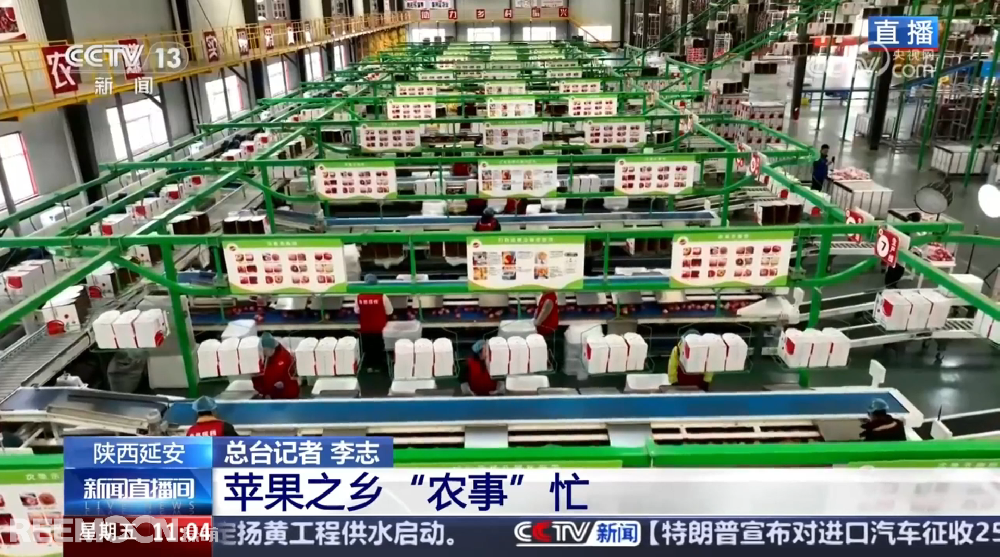 春天是希望的季節(jié)陜西延安是我國(guó)蘋果的優(yōu)生區(qū)和主產(chǎn)區(qū)蘋果之鄉(xiāng)正呈現(xiàn)出一片繁忙的景象3月28日，CCTV13新聞?lì)l道聚焦陜西延安蘋果產(chǎn)業(yè)發(fā)展展現(xiàn)中國(guó)農(nóng)業(yè)現(xiàn)代化與鄉(xiāng)村振興的生動(dòng)實(shí)踐PART.01智能分選線：給蘋果做“體檢”，助力果農(nóng)增收致富延安甘泉縣分揀車間內(nèi)綠萌智能分選設(shè)備高效運(yùn)轉(zhuǎn)通過人工智能和圖像處理技術(shù)對(duì)傳送帶上的
